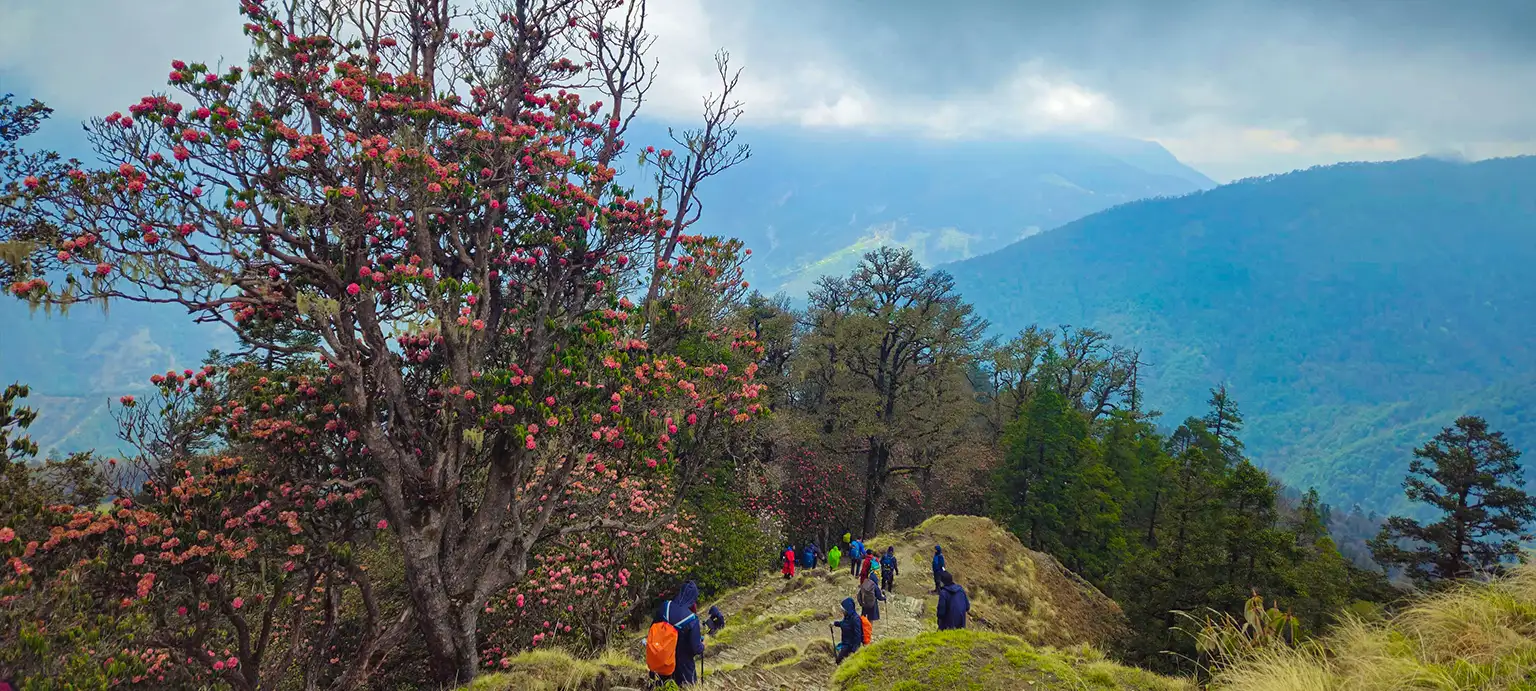 Ali Bedni Bugyal Trek